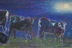 Cows-at-Night